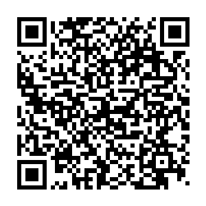 夏云杰已经在众界主和各方势力霸主的面前给足了他金蛟真人的面子二维码生成