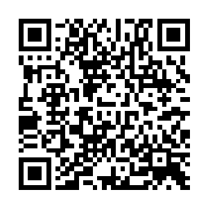 夏云杰还没到大厅门口就已经看到早已经在等候他们的人二维码生成