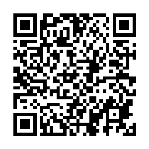 夏云杰闻言脸上的凝重之色转为了无比强大的自信和傲气二维码生成