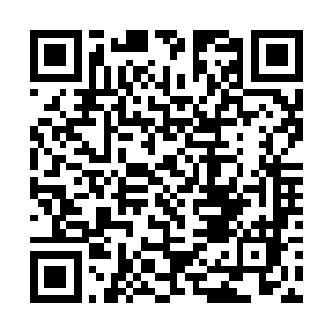 夏侯家真要瞒着大人暗中资助就不会给大人那笔巨资二维码生成