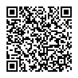 夏侯惇猛然间好像看到了一头血色巨龙从那残破的苍宇中俯冲而下二维码生成