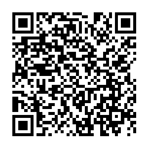 夏力行率地委行署和人大政协工委领导一起到丰州长途汽车中心站二维码生成