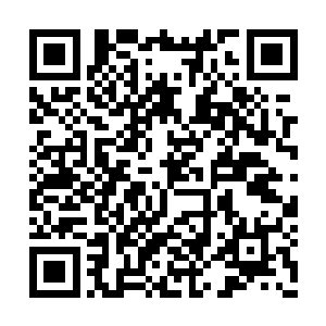 夏天从不认为这个世界有什么无敌最顶尖的天才二维码生成