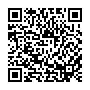 夏天没想到这个传说中的酒王居然使用这种办法将酒全都排掉了二维码生成