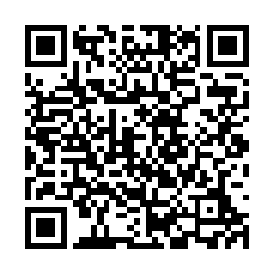 夏天现在看到半仙器的时候也不会像是井底之蛙了二维码生成