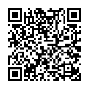 夏天的力量根本就不足以接连使用这么多次的仙爆二维码生成