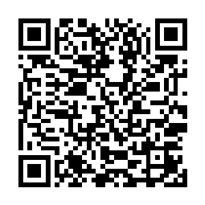 夏天的森罗万象自动将周围那些储物装备和武器全都收走了二维码生成