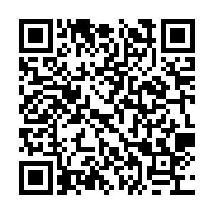 夏天萌在电视台的后门口处看见了等在那里的苏墨二维码生成