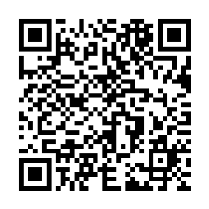 夏天萌带着她一起到无央那里去取灵器的时候白狐却十分畏惧他二维码生成