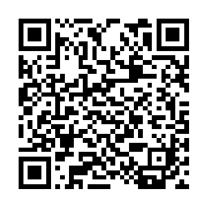 夏天趁着林连长那黑黝黝的脸上绽放了点儿笑模样二维码生成