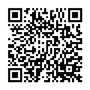 夏嫣然愤怒的将茶几上的水果盘和花瓶全部推到了地板上二维码生成