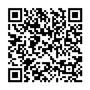 夏荷慧尽量说着和丁长生永远也不会失去联系的话二维码生成