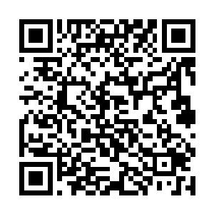 外头的那些大臣们便也在御林军的护卫下撒回了大殿二维码生成