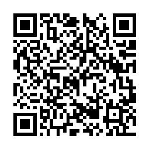 外界传闻不是说只有大魂宗以及归元神宗的修士吗二维码生成