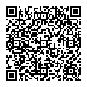 外表虽然看不出什么但是只看那握在扶手上拽的紧紧的发白的手指就知道她心里如何的不平静了二维码生成