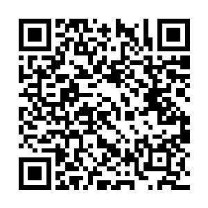 外面只怕还有一个怒气值爆满的哈迪斯在寻找他们二维码生成