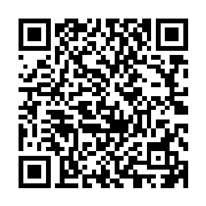 外面的空地上还有两排张着油毡大伞的携贩在兜售着各种商品二维码生成