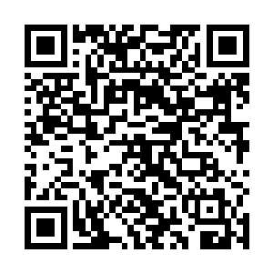 外面的蛇人和门派弟子一个个的精神再一次抖擞了起来二维码生成