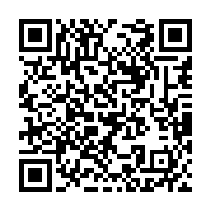 多了无数和玄骨计划相关的实验数据以及炼制方法二维码生成