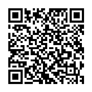 多半还是一场空…………倒是怪可惜的…………还能说什么呢二维码生成