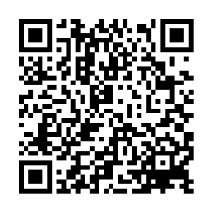 多多罗连忙从自己的储物装备中取出了全套的衣物二维码生成