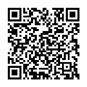 多少前辈师姐最终选择和门中真人签订伴侣协议二维码生成