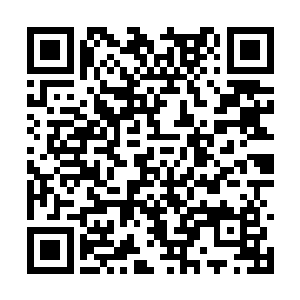 多年以来已经吸收储备了无数佛门强者献上的力量二维码生成