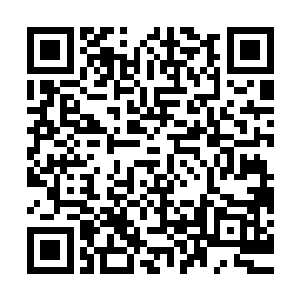 多角度监控系统……热能成像感应器……电磁感应高压电网……二维码生成