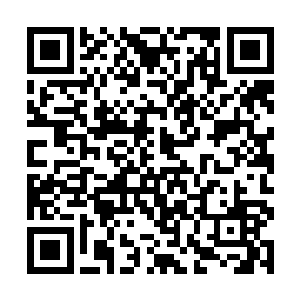 多谢探望……我很好……夜深了……您快回去歇着吧二维码生成