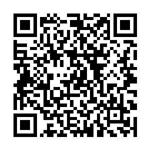 夜修独无可奈何的斜睨了一眼开始装无辜的一大一小二维码生成