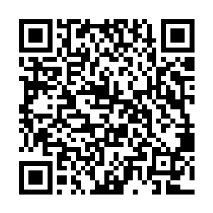 夜神猫终是比不上可提升冲击紫府成功率的泣血莲的二维码生成