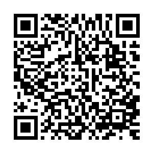 大不了你有需要的时候我也可以帮你刺探点群英会的消息做补偿二维码生成