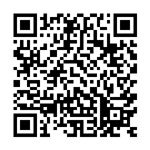 大不了到时候随便到个大排档点几个抵挡菜肴也花不了几个钱二维码生成