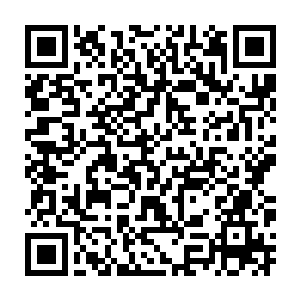 大伙计只能看着那些千娇百媚的货物流口水而不敢打任何的坏主意二维码生成