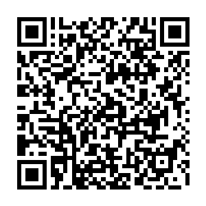 大厅里只设立了一个指示牌一一昌江投资论坛暨招商引资洽谈会报到处由此去二维码生成