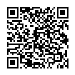大家伙就没合计通过别的什么途径想办法把消息传达出去二维码生成