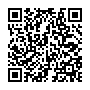 大家既没有想到大荒战院会把展台布置得如此独特二维码生成