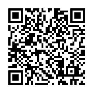 大家的眼睛都盯在两台临时放置在酒吧里的电视屏幕上二维码生成