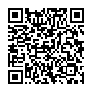 大家谁也不会眼睁睁地看着同伴没有完成任务不是二维码生成
