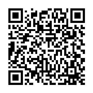 大家还都是试探・现在第二阶段开始・就是真正的残酷竞争了二维码生成