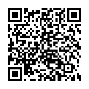 大家都在计算他们的连续不败场次还能延续多久二维码生成