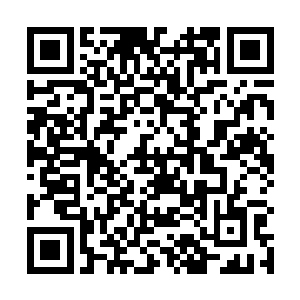 大山三尺一记手刀迅捷无比的朝释永刚的胸口劈了过去二维码生成