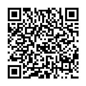 大山用平和的语气把这么一件冷冰到毫无人情的事讲了出来二维码生成