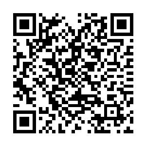 大巴车才最终缓缓开进了位于一大片丛林包围之中的坎儿庄二维码生成