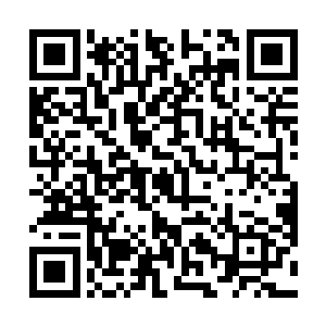 大志……你别怪我……姐不是有意的……姐错了啊……二维码生成