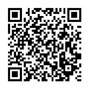 大手一抓将从墨虚金仙身上偷来的各种丹药药材全部吞了下去二维码生成