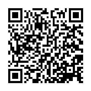 大月氏或许是因为单独一个族生活在草原上的日子过久了二维码生成