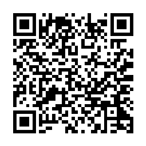 大梦已经在1526等您了――维杰里先生和戴维森先生都到了二维码生成