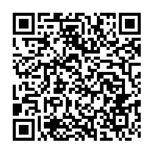 大概是跟着来评估如果真的有投资价值做投资预算评估的财务人员二维码生成