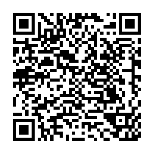 大概炼骨族负责传承的人也没有想到他们的族中血脉会有断绝的一天二维码生成